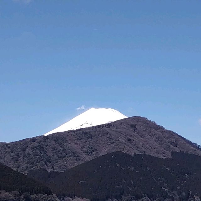 芦ノ湖の遊覧船