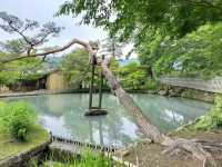 Jozan Yamadera’s Historic Residence 