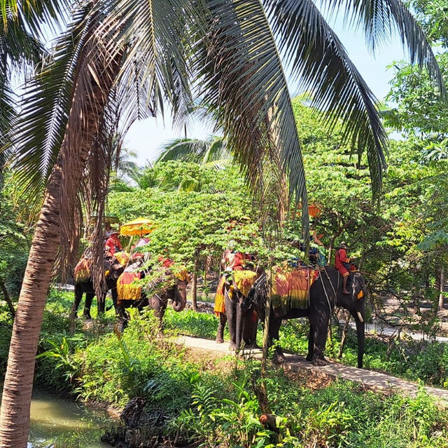 Jungle Haven: Discovering Chang Puak Camp