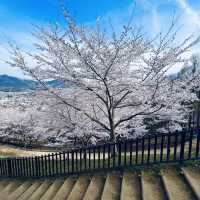 新倉富士淺間神社