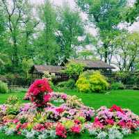 臺北花博公園：花海盡收眼底