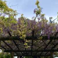 歴史探訪　乙川白山公園