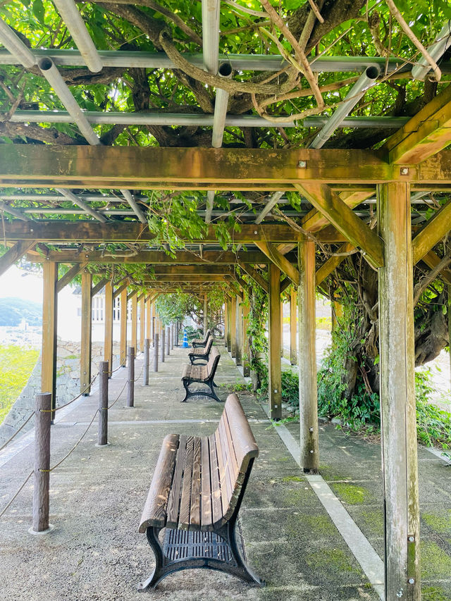 【岡山県】日本100名城「津山城」