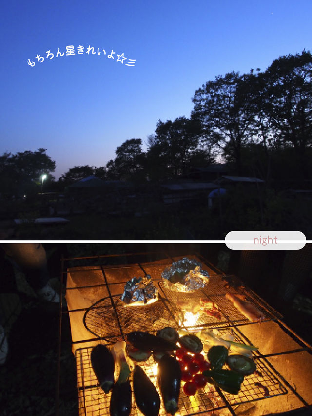 【栃木/那須】一度は泊まってみたいツリーハウス🌲