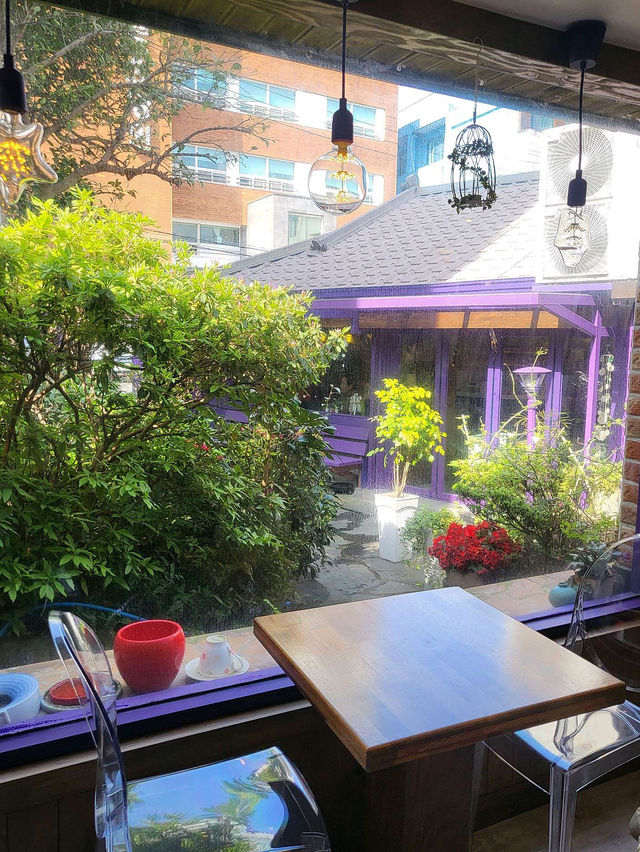 [윤재커피] 제주 중앙로 정원이 멋진 커피숍 윤재커피