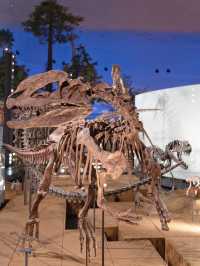 【福井】恐竜好き集合🦕福井の王道観光スポット