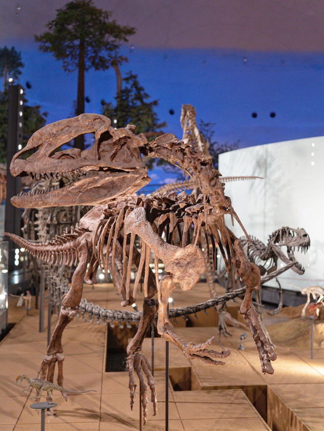 【福井】恐竜好き集合🦕福井の王道観光スポット