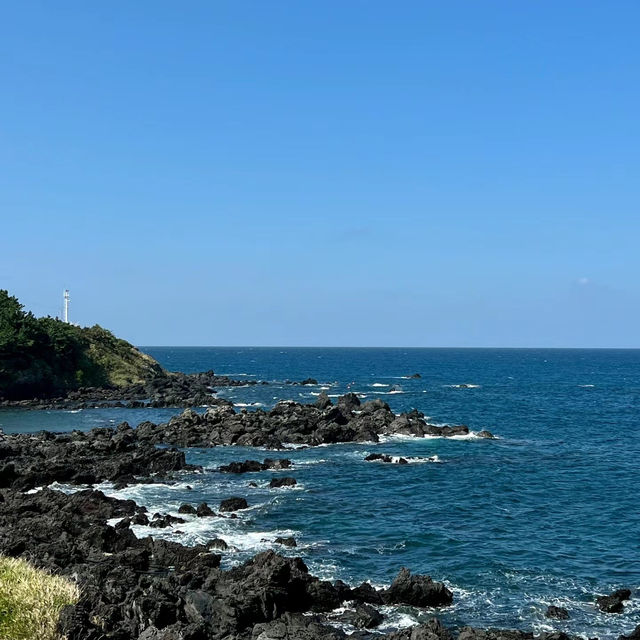 蘆屋海濱公園：優美海景，悠閒下午時光