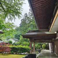 「東京根津神社：靜謐寧和的禪意」