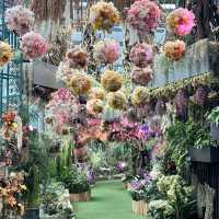 景點-新加坡🇸🇬三大植物園［濱海灣花園雲霧林、花穹、胡姬花園］