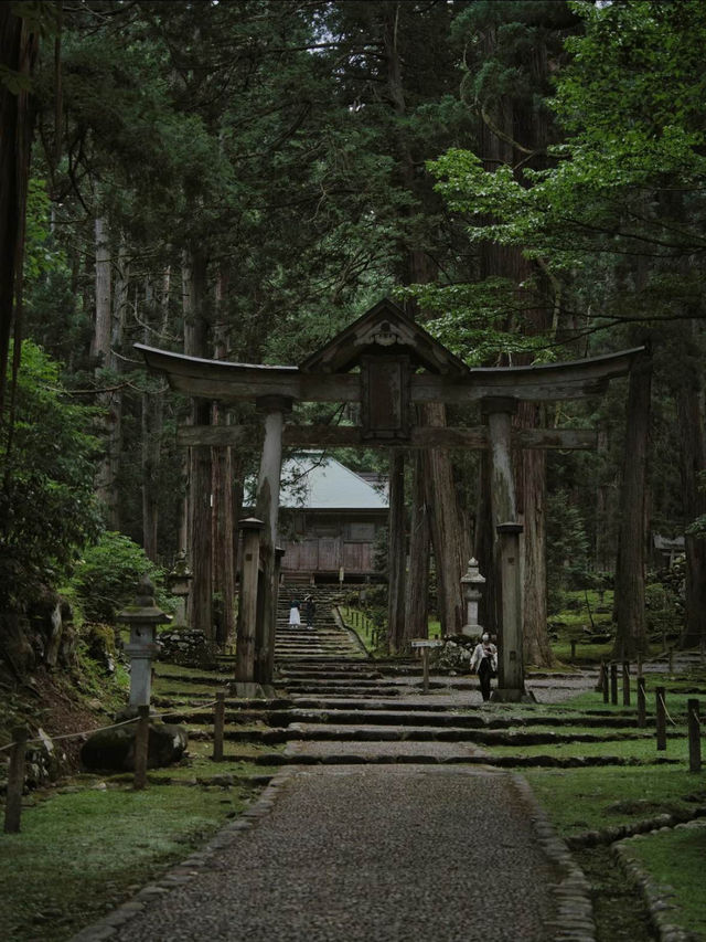 【福井】創建717年🕰 その歴史を物語る佇まいをした神社を紹介🔍