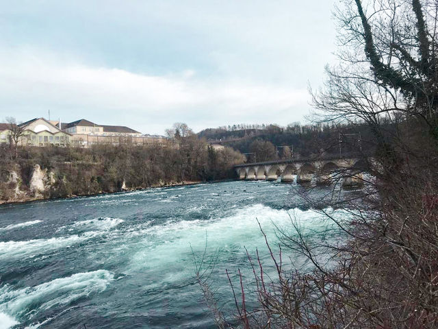 The Niagara Falls of Switzerland- Rhine Falls 🇨🇭