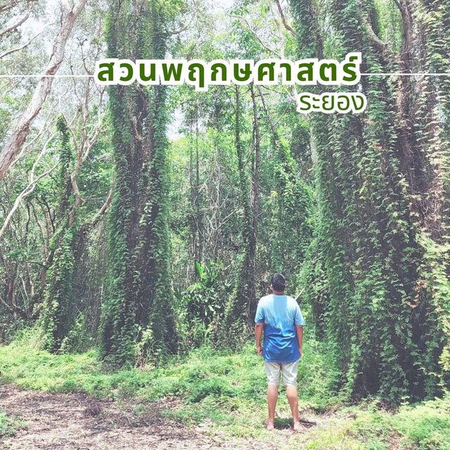 สวนพฤษศาสตร์ระยอง