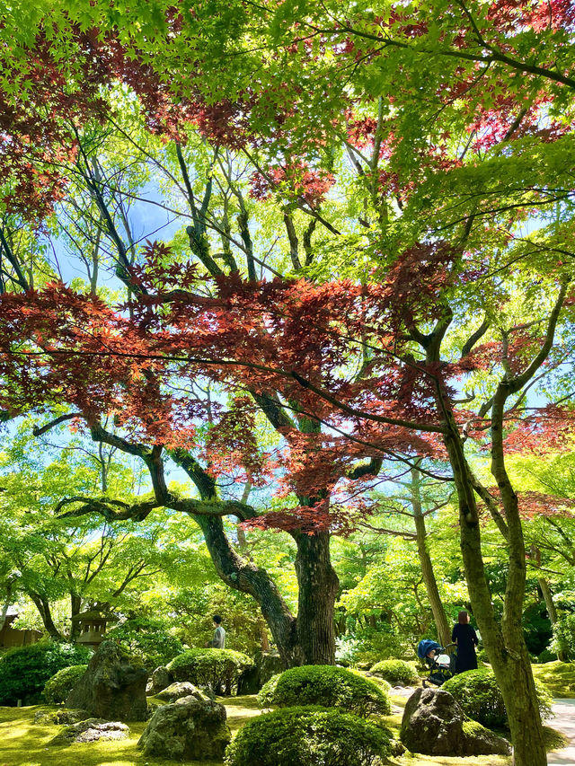 【島根　松江】庭園の中を歩ける