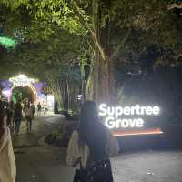 Gardens by the Bay Supertree Grove