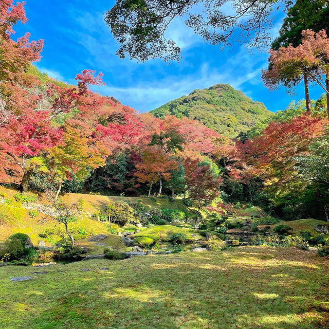 【福岡観光】清水寺本坊庭園は国指定文化財になるほど美しい