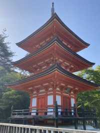 【京都】公式おすすめの絶景ポイント