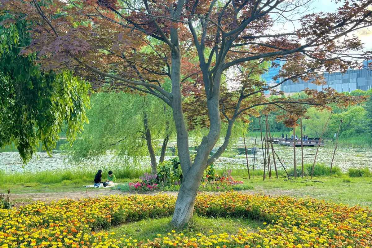 경기도 벚꽃 명소 꿀팁