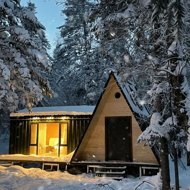 大雪山國家公園：山友朝聖