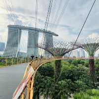 🇸🇬 OCBC Skyway