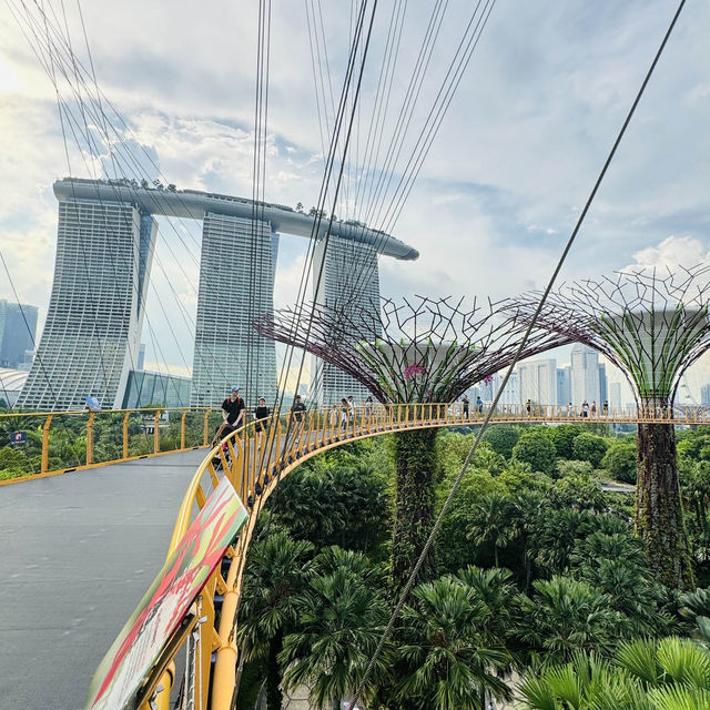 🇸🇬 OCBC Skyway