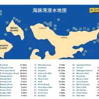Puerto Galera PG 海豚灣