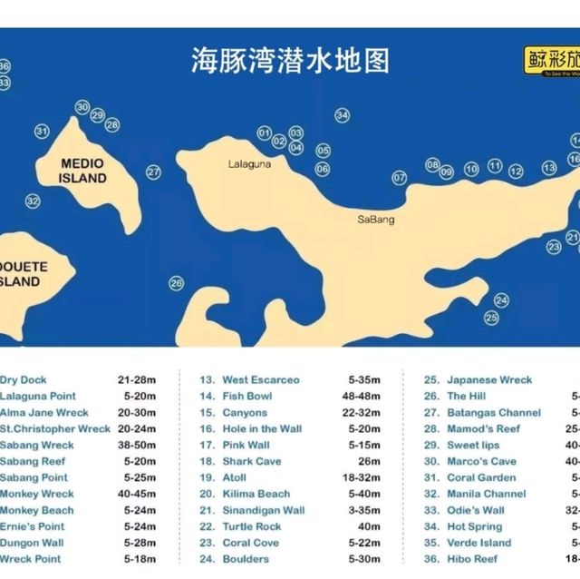 Puerto Galera PG 海豚灣