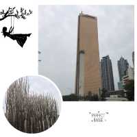 63大廈展望台留影