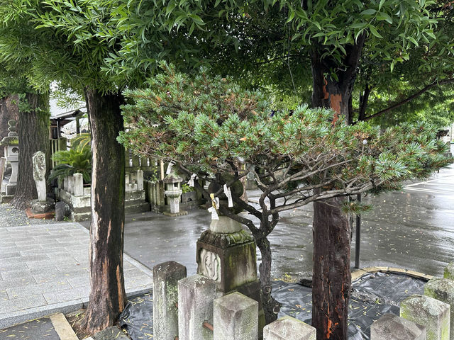 熊本・中央区。『別所琴平神社』