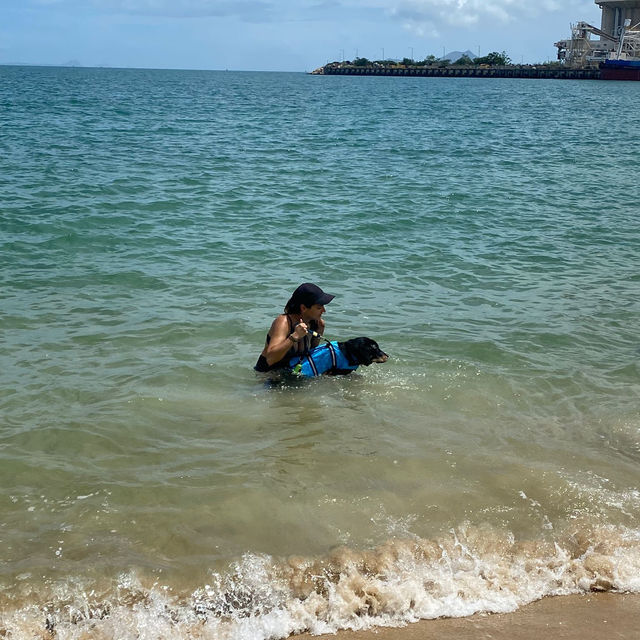 Lamma Island in HK is dog friendly 🐶🏖️