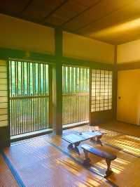 〜神奈川県〜初夏を感じる都会の癒しスポット