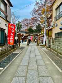 〜埼玉県〜最強恋愛パワスポ！熊野川越神社⛩️