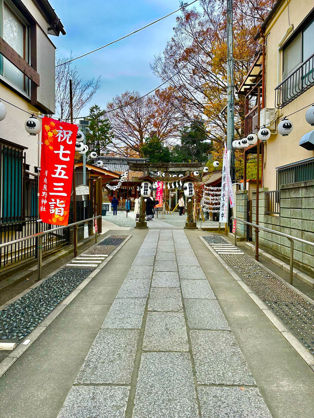 〜埼玉県〜最強恋愛パワスポ！熊野川越神社⛩️