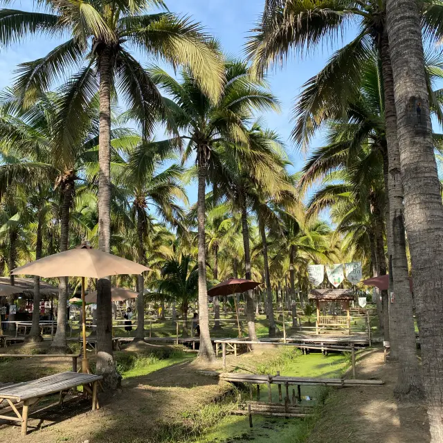 【清邁】Coconut Market/真心市集/週六夜市