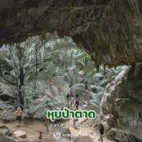 หุบป่าตาด