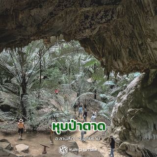 หุบป่าตาด