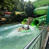 Splashing Fun in the Sun: Adventure Cove WaterPark 💦