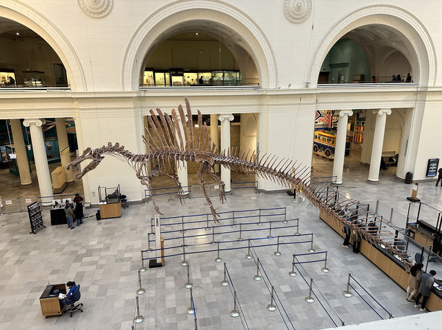 【🇺🇸芝加哥🇺🇸】Field Musuem：暴龍🦖 T Rex 體驗，難忘博物館之旅，適合帶小朋友來震撼教育一下‼️