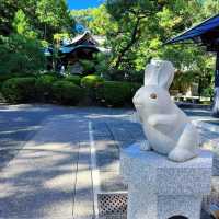 🐇うさぎだらけのパワースポット🐇