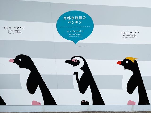 【京都】京都駅から歩いてもいける水族館