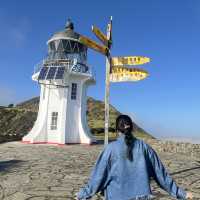 In New Zealand  Northernmost