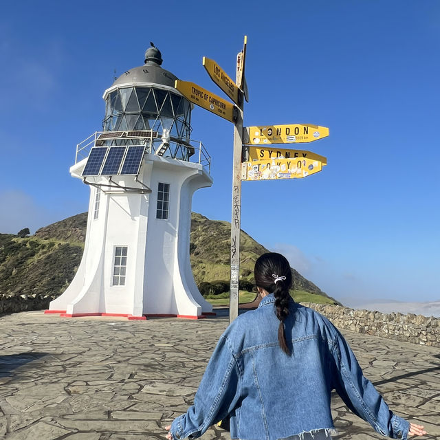 In New Zealand  Northernmost