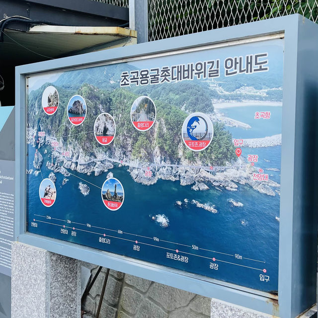 여름에는 시원한 동해바다에서 보내기!