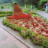 Victoria Park's Verdant Charm: Nuwara Eliya's Hidden Haven