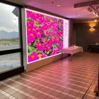 【岩手】蜷川実花限定ゴンドラで山頂へ✨