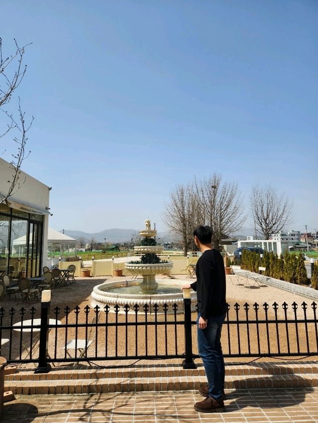 경주여행 사진스팟 많은 카페 어마무시 ❤️