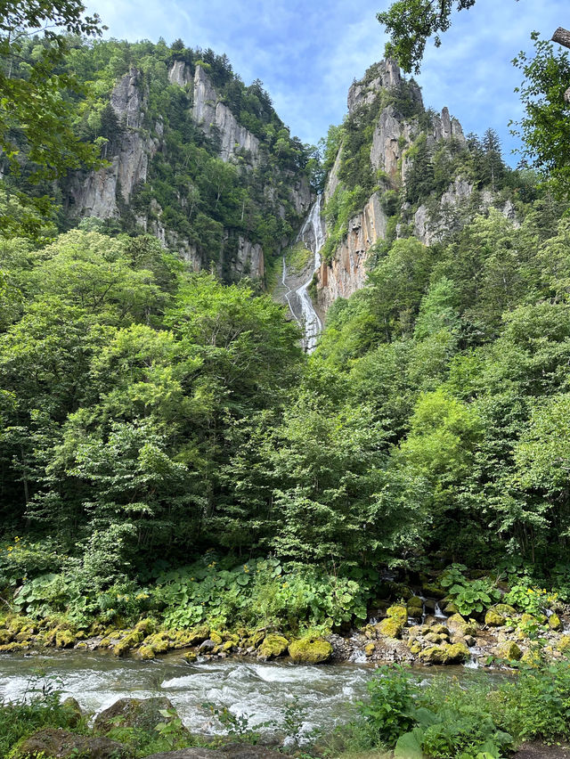💚 홋카이도의 여름 산의 자연경관을 흠뻑 느껴보실 수 있는 명승지 스팟 🏞️💚