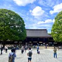 Discover Serenity at Meiji Jingu Shrine! 🌿⛩️