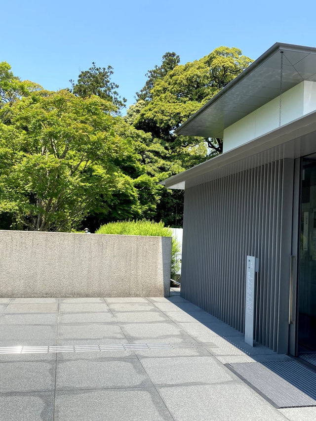 【禅の世界を体感する🌱鈴木大拙館✨】