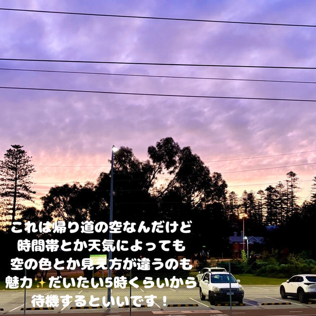 【パース】時間によって空の色が変わるコテスロービーチ🏖️